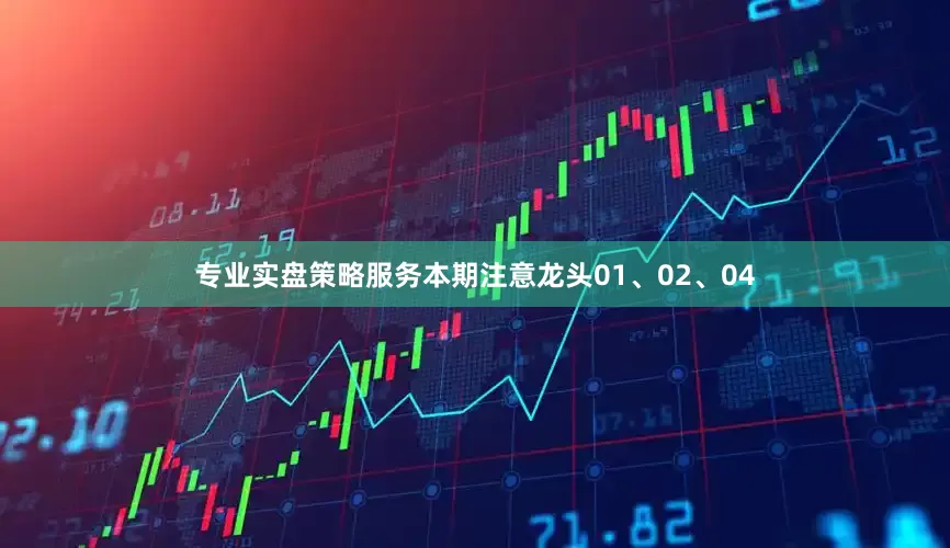 专业实盘策略服务本期注意龙头01、02、04