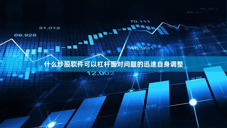 什么炒股软件可以杠杆面对问题的迅速自身调整